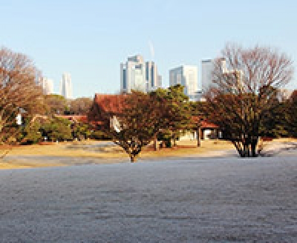 霜（宝物殿前芝地）